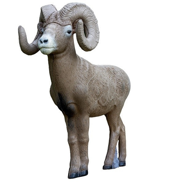3D Ziel RINEHART 1/2 Scale Signature Bighorn Sheep