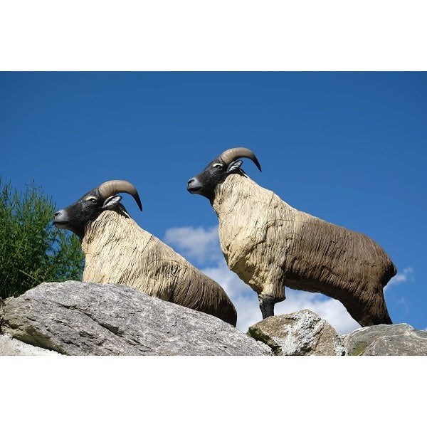 3D Ziel SRT Himalaya Tahr - stehend