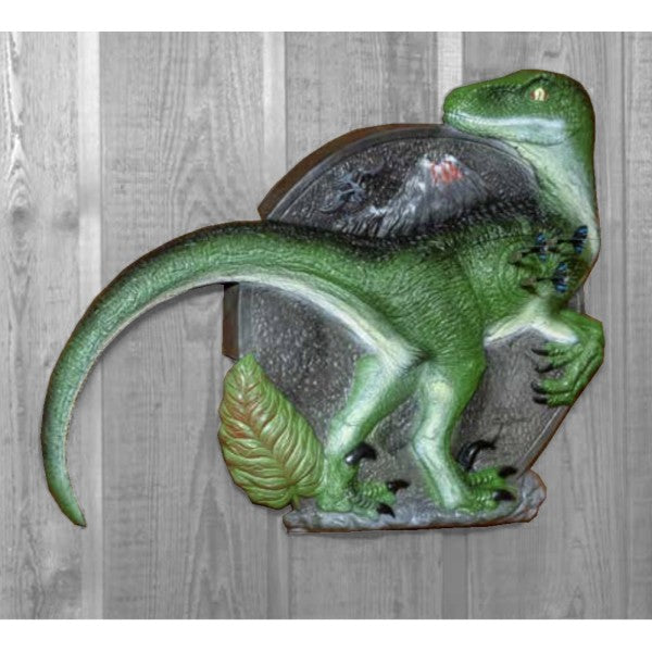 Dartscheibe Rinehart Raptor 2D