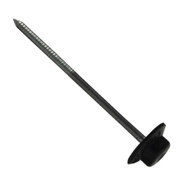 Scheibennagel BF