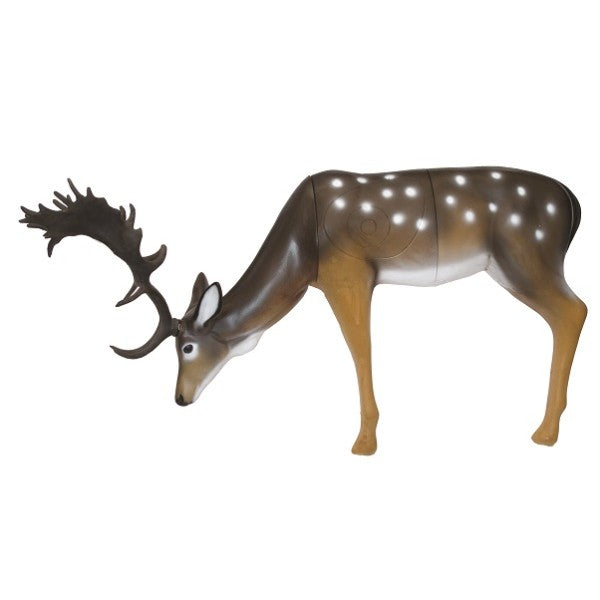 3D Ziel SRT Fallow Deer, grasend