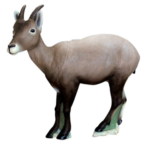 3D Ziel SRT Steinbock Rebecca