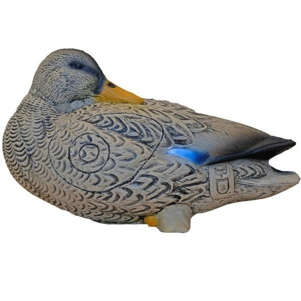3D Ziel 3DI Ente