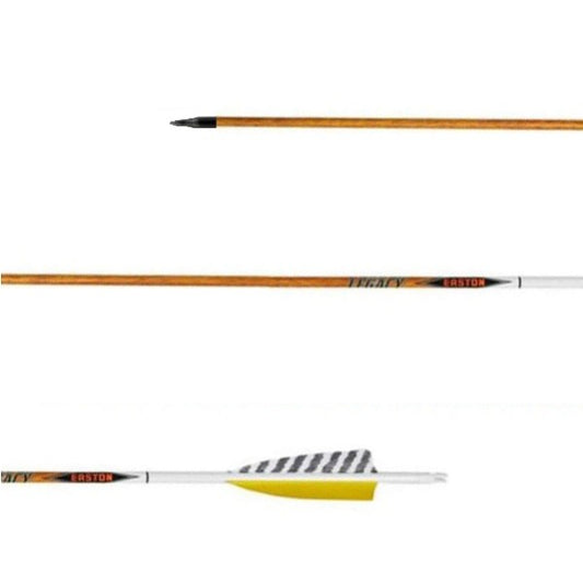 EASTON Komplettpfeil Carbon Legacy