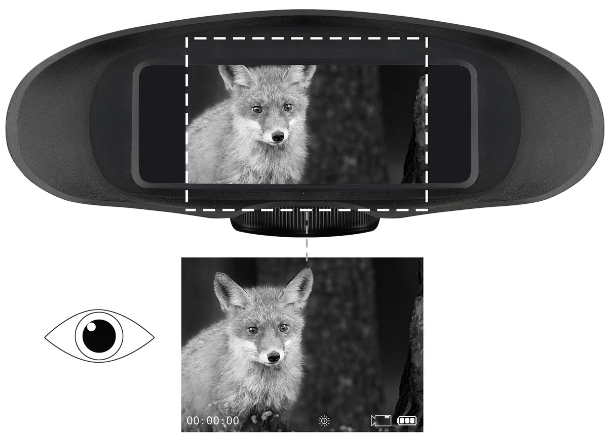 BRESSER Digital Nachtsichtgerät Binokular 3,5x m. Aufnahme Monochrom