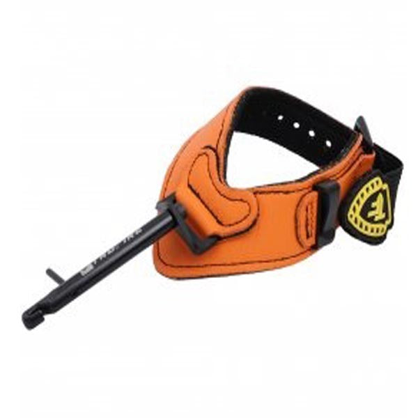 Release-Tool Auszugscheck