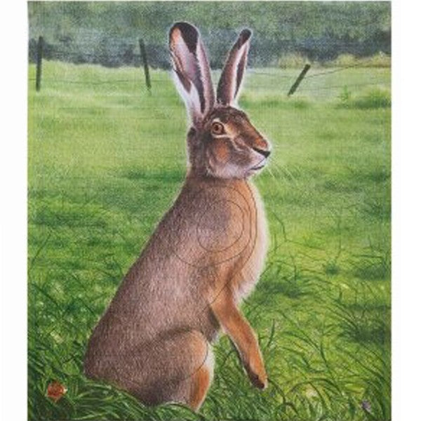 JVD Archery Scheibenauflage HASE