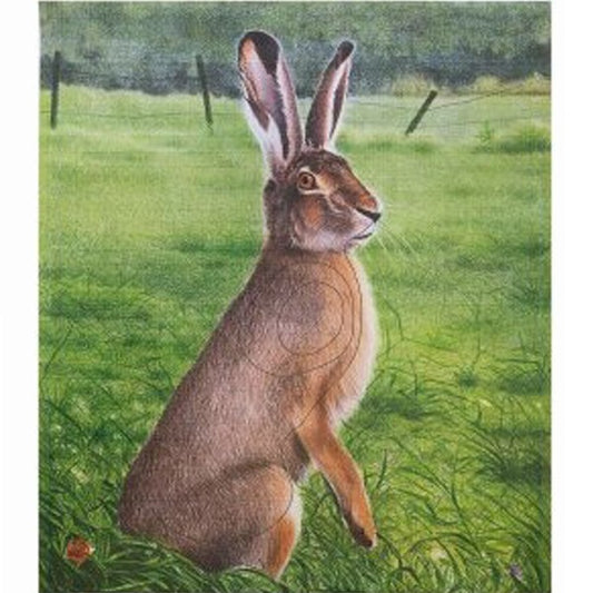 JVD Archery Scheibenauflage HASE