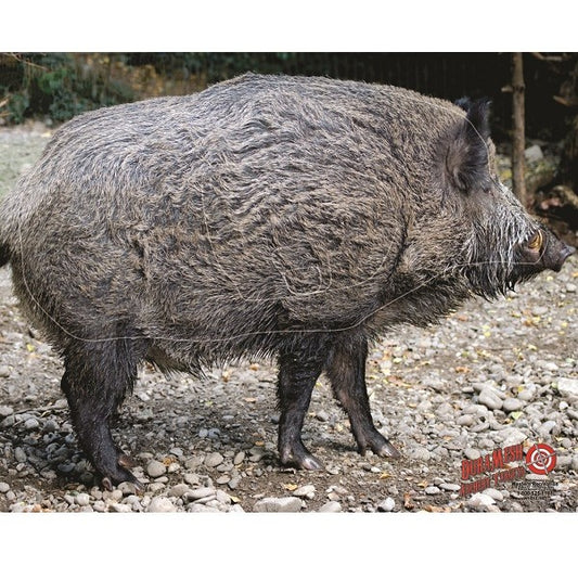 VISTA Scheibenauflage WILDSCHWEIN
