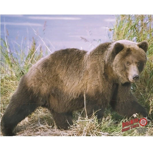 VISTA Scheibenauflage GRIZZLYBÄR