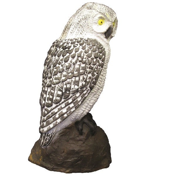 3D Ziel SRT Schnee-Eule