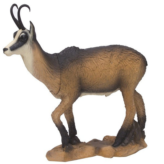 3D Ziel SRT Camois VSE Sommer