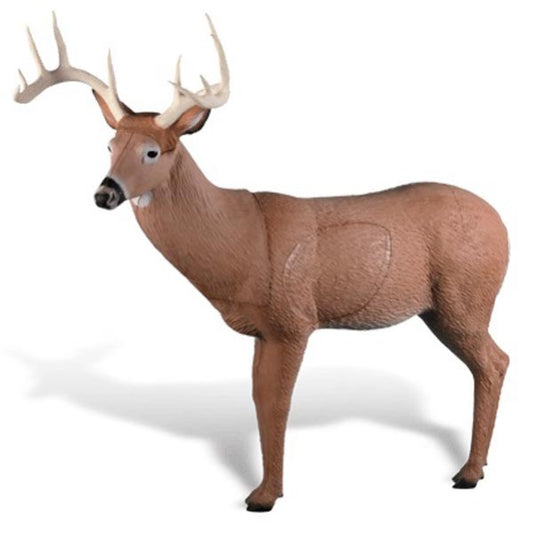 3D Ziel RINEHART Big Ten Buck