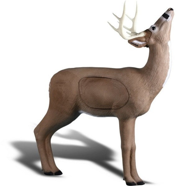 3D Ziel RINEHART Browsing Buck