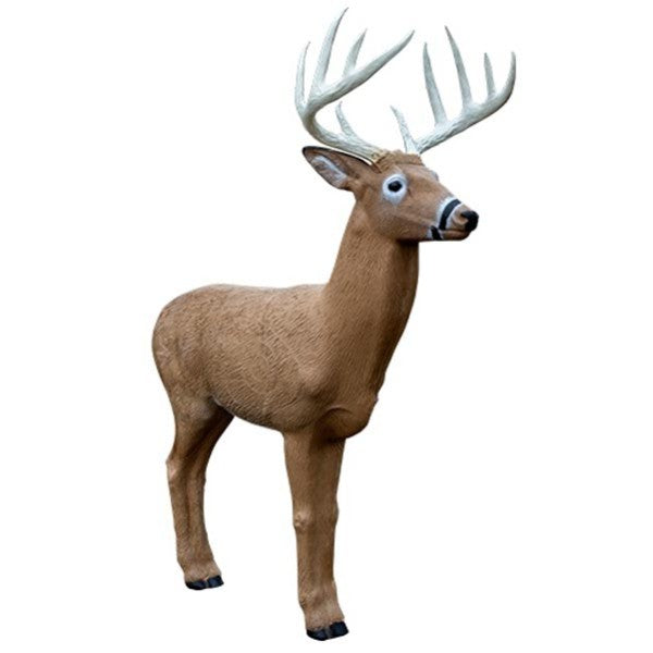 3D Ziel RINEHART Midwest Buck
