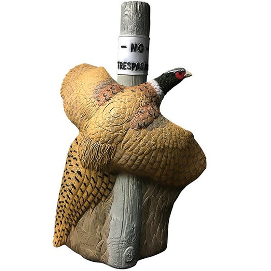 3D Ziel RINEHART Fasan