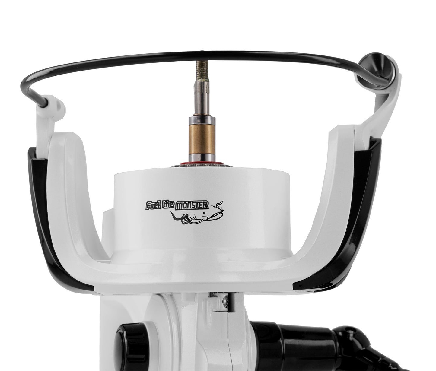 Mikado Rolle - Catone Ng 8010 Fd - 1 Stk.