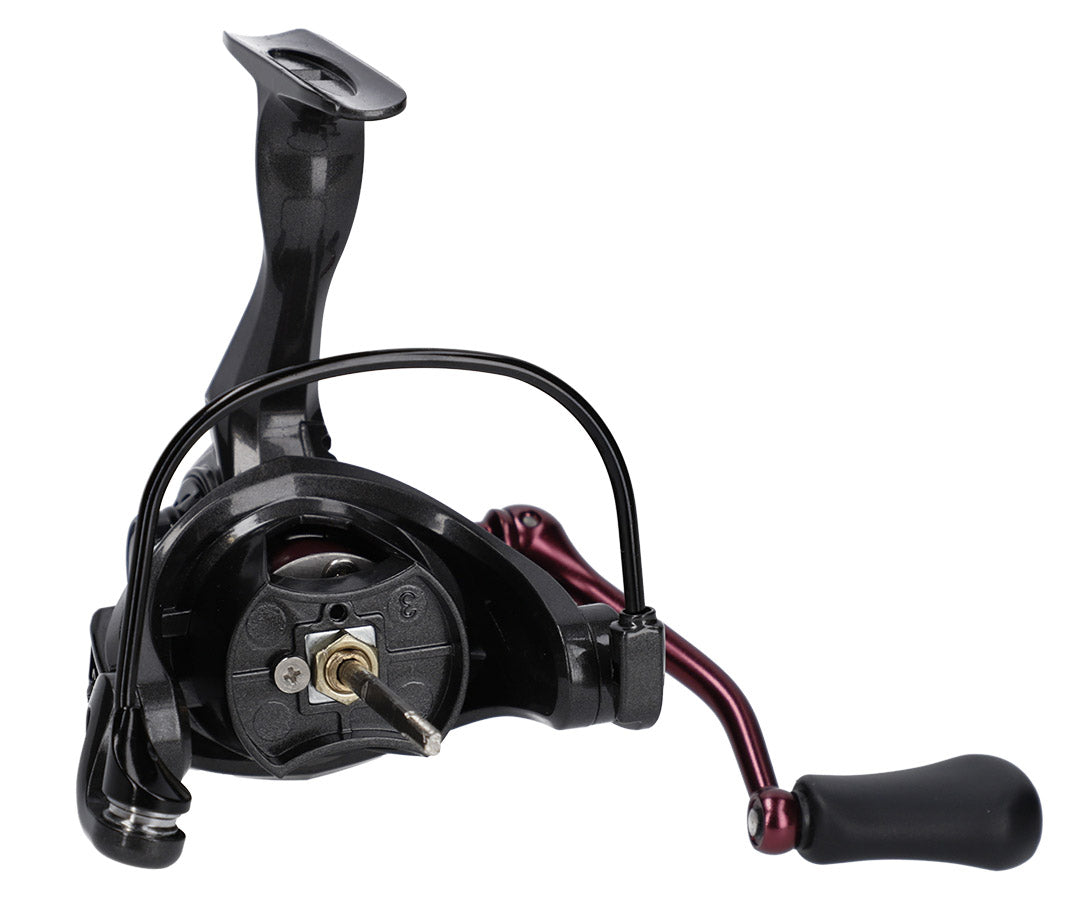 Mikado Rolle - Lady Bixlite 3006 Fd - 1 Stk.