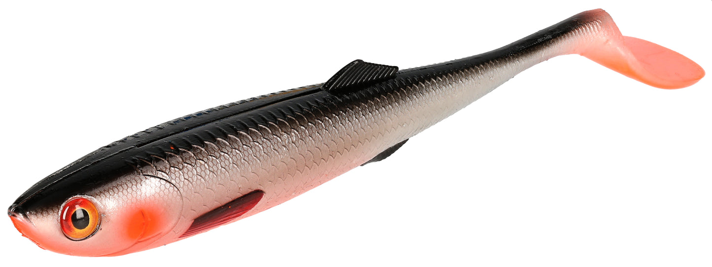 Mikado Köder - Sicario 18cm/ROACH - 2 Stk.