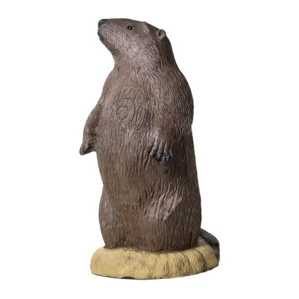3D Ziel RINEHART Groundhog