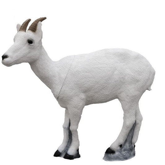 3D Ziel SRT Dall Sheep, weiblich