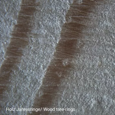 National Geographic 20x Stereomikroskop schwarz