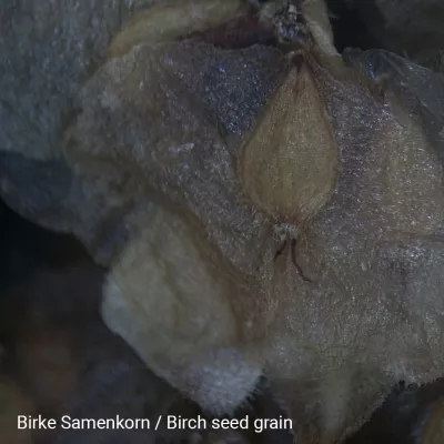 National Geographic 20x Stereomikroskop schwarz