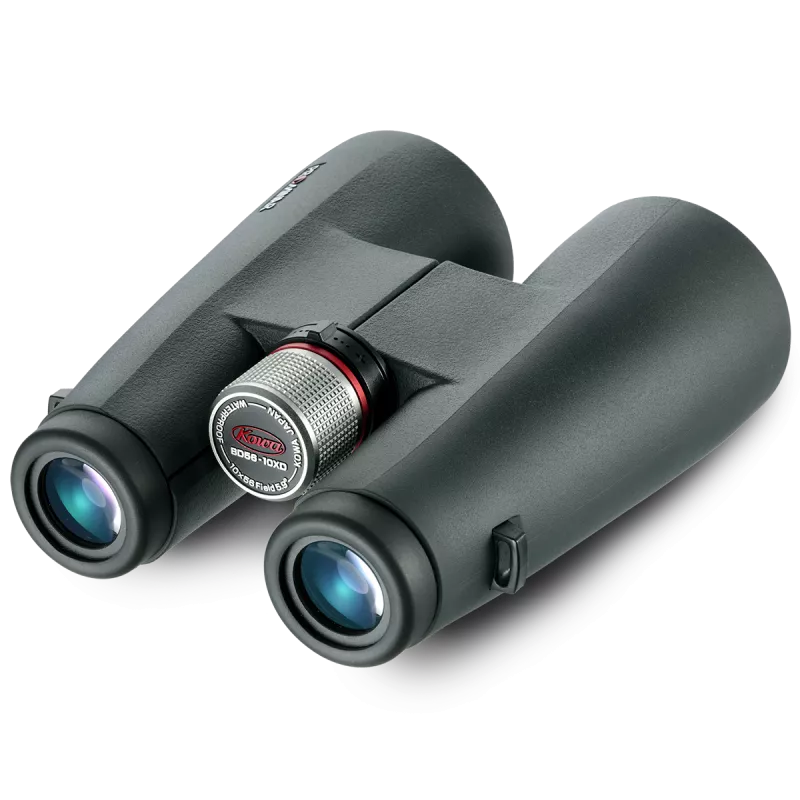 Kowa BD 10x56 XD Fernglas